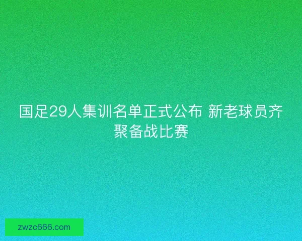 国足29人集训名单正式公布 新老球员齐聚备战比赛