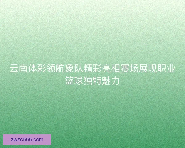 云南体彩领航象队精彩亮相赛场展现职业篮球独特魅力